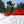 GNU Facts Snowboard - Men's - 2027