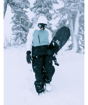 686 Gore-Tex Willow Insulated Jacket - Women's