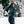 686 Gore-Tex Willow Insulated Jacket - Women's
