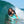 Catch Surf Odysea Classic 42