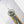 Jones Flagship Snowboard - 2027 - Women's