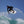 Catch Surf 5'5