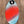 Zap Mini Lazer 35