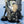 Armada Devo 32L Backpack - 2027