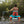 BOTE 5 Piece Adjustable Kayak Paddle - 2026