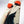 Capita Birds of a Feather Snowboard - 2027 - Women's