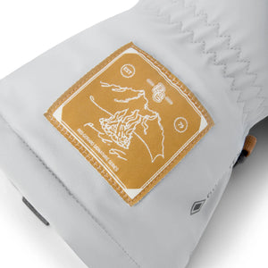 Dakine Team Excursion Gore-Tex Gloves - Men's