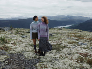 Dale of Norway Highland Sweater - Women's