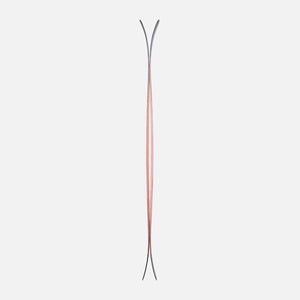 Dynastar M-Free 100 Skis - Men's - 2027