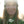 GNU Ladies Choice Snowboard - 2027 - Women's