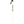 Line Pin Ski Poles - 2027