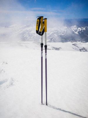 Line Paintbrush Ski Poles - 2026