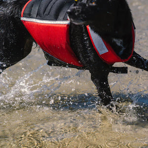 Mustang Survival UnderDog Pet Life Jacket - 2026