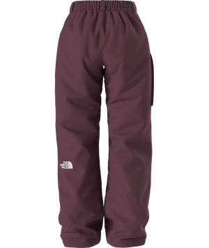 The North Face Freedom Insulated Snow Pant - Women's
