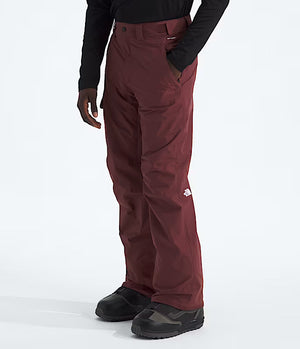 The North Face Freedom Snow Pant - Men's