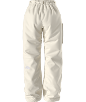 The North Face Freedom Insulated Snow Pant - Women's
