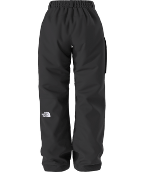 The North Face Freedom Insulated Snow Pant - Women's