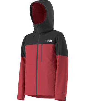 The North Face Freedom Insulated Ski Jacket - Men's