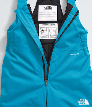 The North Face Freedom Insulated Bib Pant - Kids