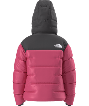 The North Face Summit Series Nuptse Jacket - Women's