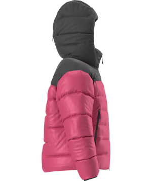 The North Face Summit Series Nuptse Jacket - Women's
