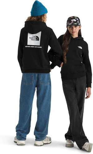 The North Face Evolution Box NSE Pullover Hoodie - Teen