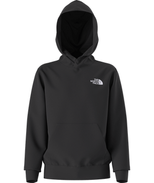 The North Face Evolution Box NSE Pullover Hoodie - Teen