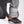 The North Face Seymore Snow Pant - Men's
