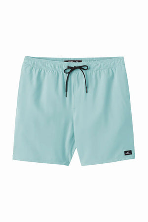 O'Neill Lennox Hermosa 17" Swim Trunks - Men's