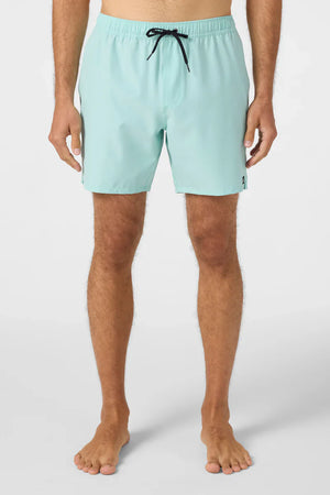O'Neill Lennox Hermosa 17" Swim Trunks - Men's