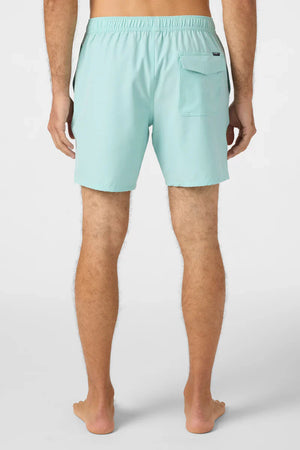 O'Neill Lennox Hermosa 17" Swim Trunks - Men's
