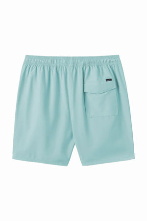 O'Neill Lennox Hermosa 17" Swim Trunks - Men's