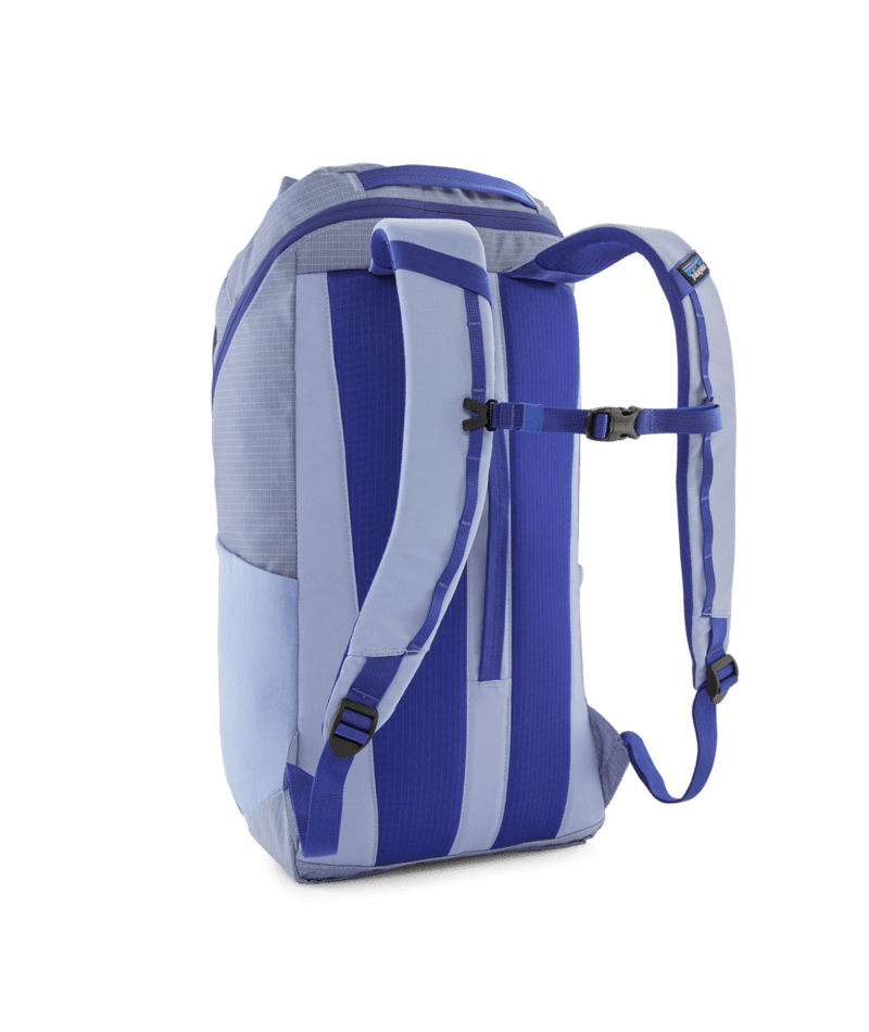 Patagonia Black Hole Pack 25L Touring Red