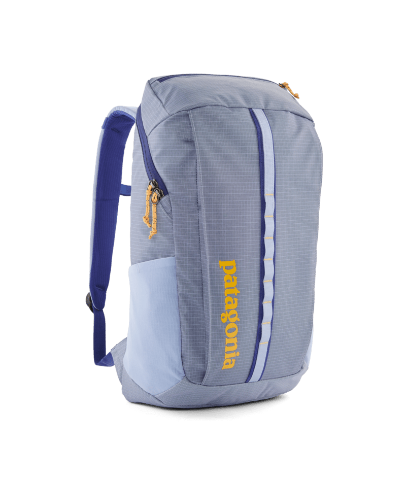 Patagonia black hole pack 25l birch white hotsell