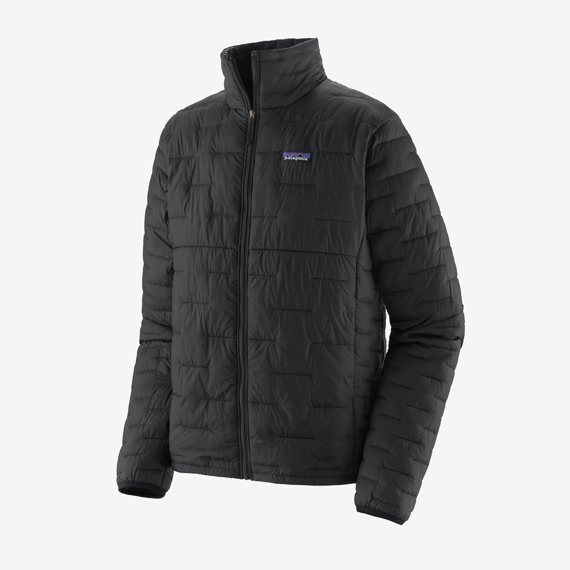 Patagonia Men s Micro Puff Jacket Black XL