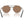 Ray Ban Round RB3765 Sunglasses - 2026 - Women's