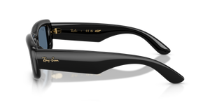 Ray Ban Kiliane Puffer RB4944 Sunglasses - 2026