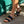 Reef Cushion Vista Sandals - Women's