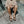 Reef Cushion Phantom 2.0 Leather Sandals - Men's