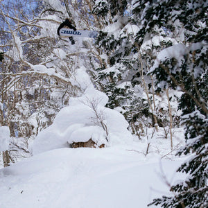 Rome Rene-Gade Snowboard - Men's - 2026