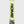 Rome Warden Snowboard - Men's - 2027