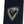 Rossignol Evo XT 60 Positrack Cross Country Skis w/Tour Bindings - Adult - 2026