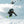 Scott Sea Ski Poles - 2026 - Adult