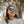 Smith Westward Sunglasses - 2026
