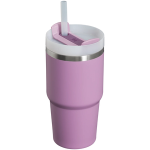 Stanley The Quencher H2.0 FlowState 20 oz Tumbler - 2025