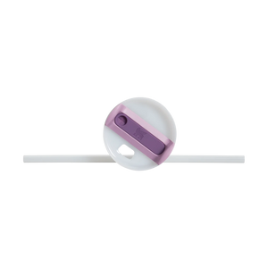 Stanley The Quencher H2.0 FlowState 20 oz Tumbler - 2025