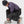 Stio Environ Bib Pant - Men's