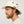 Tilley T5 Adventure Ultralight Hat - 2026