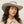 Tilley LTM2 Airflo Wide Brim Hat - 2026
