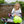 Triple Eight Wipeout Dry Erase Helmet - Youth - 2026